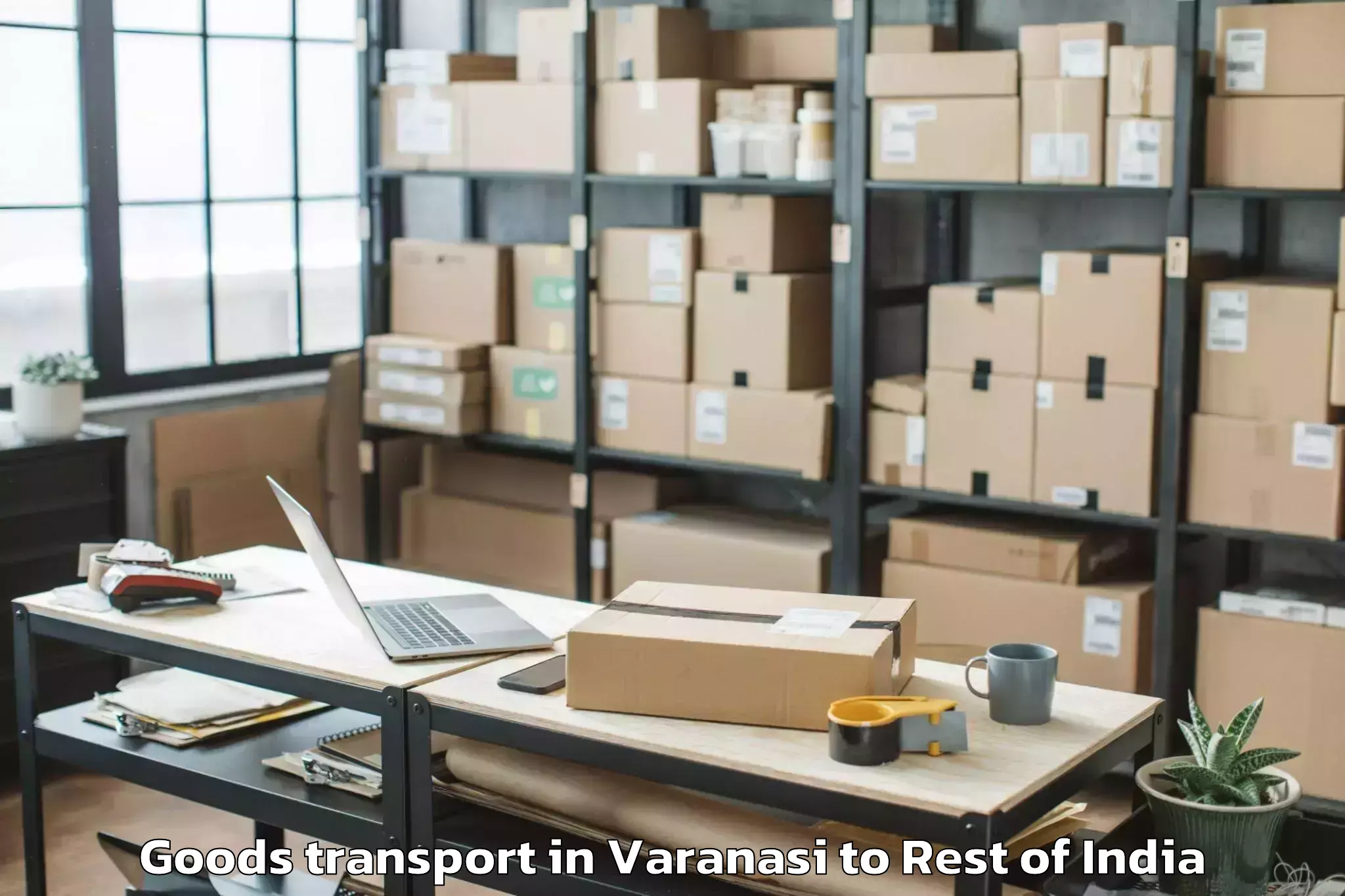 Discover Varanasi to Alampur P Goods Transport